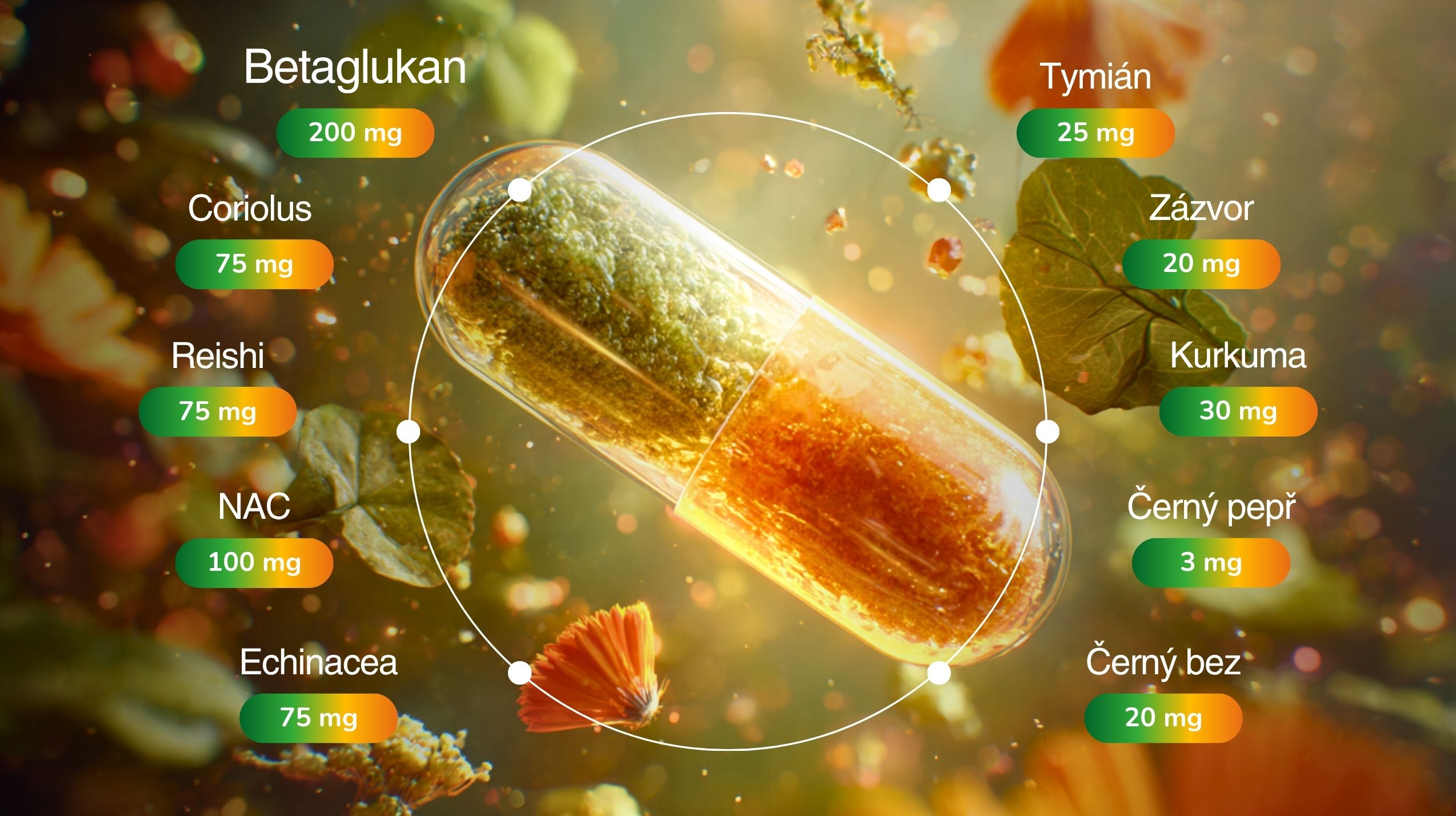 Betaglukan PREMIUM ULTRA IMUNITA KOMPLEX (+ Reishi, kurkuma, vitální houby, bylinné extrakty, Glutathion, NAC), 20 nejúčinnějších přírodních látek pro imunitu, 60 kapslí -5